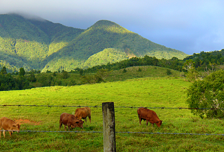 Puerto Rico Mountains