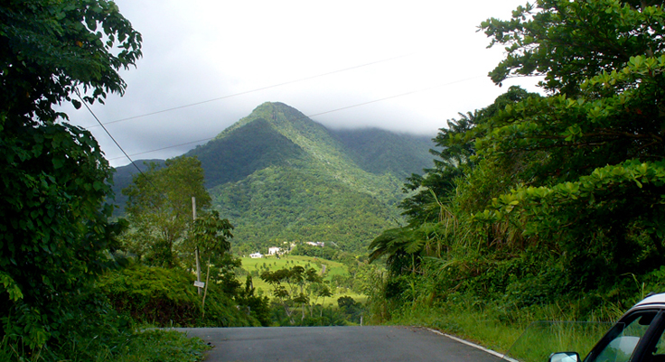 Cialis Mountains In Pr