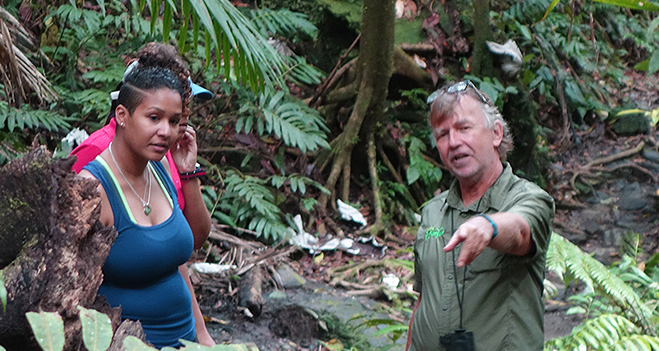 guided hike in el yunque