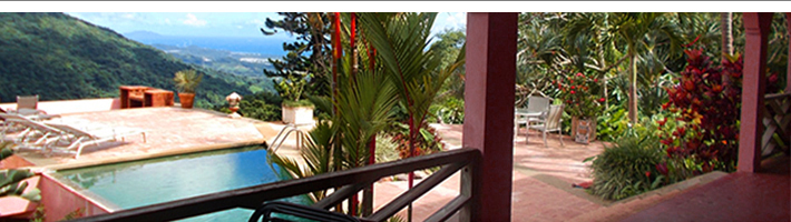 Casa Flamboyant luxury b & B in the rainforest