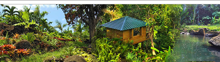 El Yunque B&B cabins