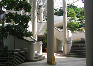 US National Rainforest visitors center