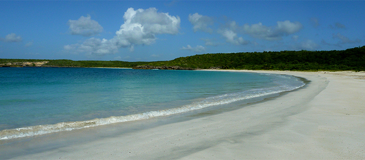 Playa Caracas Viequws south coast