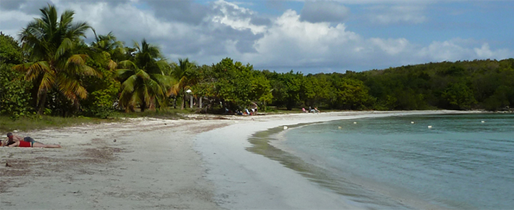 Media Luna Beach Vieques