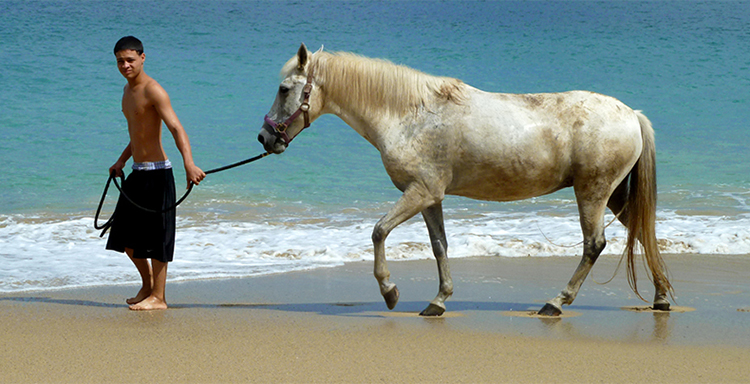 Boy walking horse Monsanto Playa