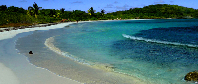 Playa de La Plata beach Orchid Vieques