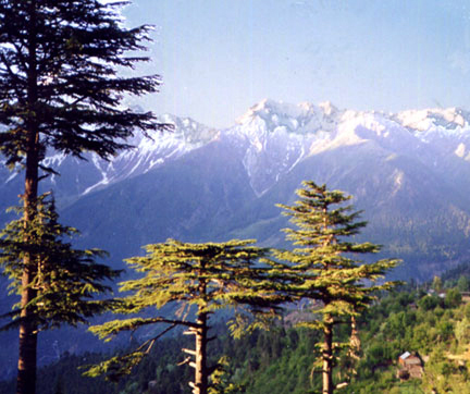 Indian Himalayas view fom my window