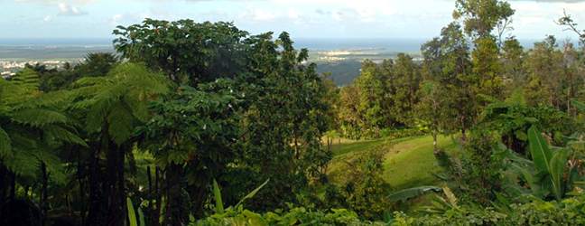 view of the Atlantic from Villa Hermosa vacation rental near el yunque