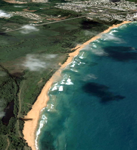 proposal for the ecological corridor of La Selva Beach and turtle nesting site Luquillo in the background