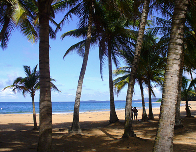 Puerto Rico Beaches And Balnearios Sandy Keys Coconut Trees On Playa Azul Luquillo