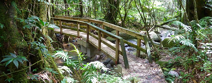 A bridge on the trail to Angelito