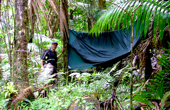 hammock tents work really well in the rain forest