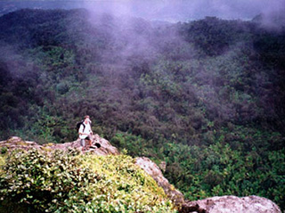 Trail to La Roca overlooks forest