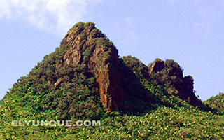The peaks of Los Picachos at the top of El Yunque rainforest