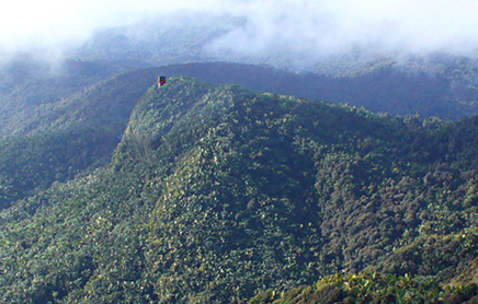 looking south to the Mt. Britton tower from El Yunque peak