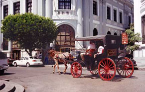 Ponce plaza horse and cariage ride