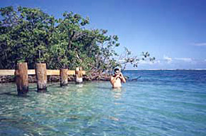 Gilligans Island mangrove key off Guanica Puerto Rico