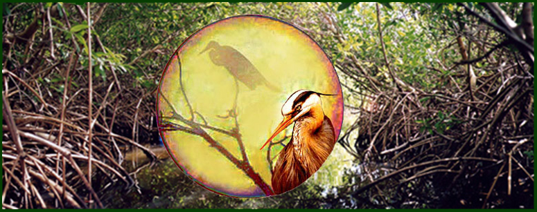Fairy tale legend of the golden heron