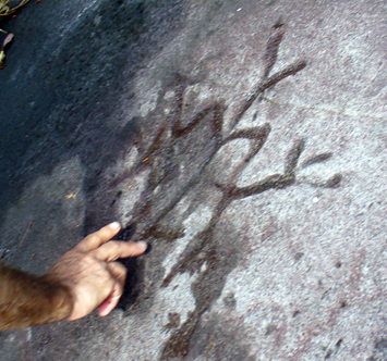 taino petroglyph puerto rico