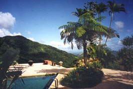 Casa Flamboyant Bed and breakfast Puerto Rico rain forest